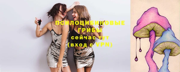соль ск Вязники
