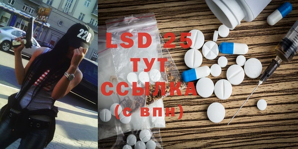 стаф Вяземский