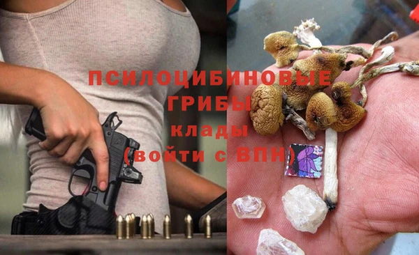 стаф Вяземский
