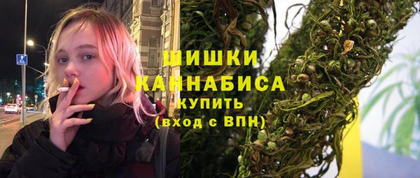 стаф Вяземский