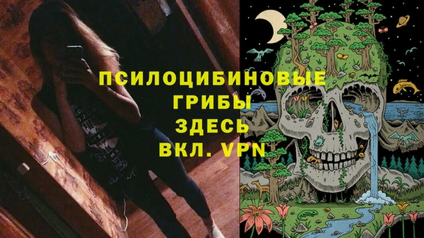 стаф Вяземский