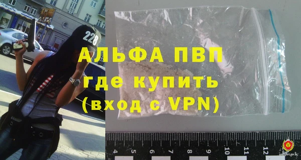 стаф Вяземский